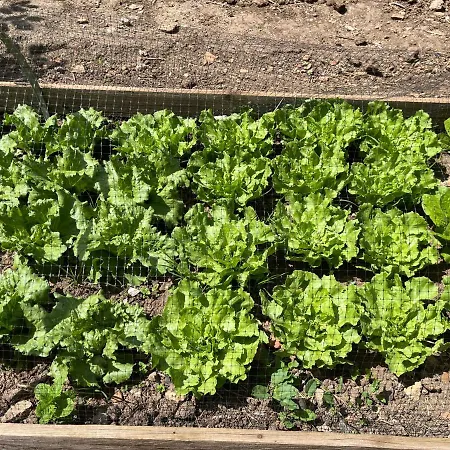 Casetta Bianca Hébergement de vacances Palerme