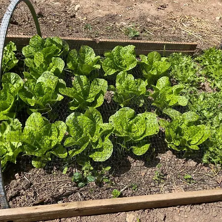 Casetta Bianca Hébergement de vacances *