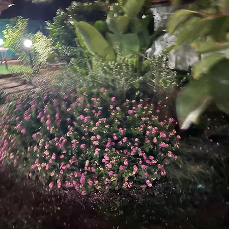 Hébergement de vacances Casetta Bianca